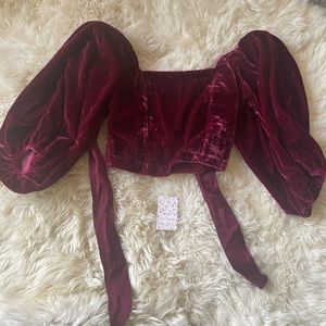 Free People Tops | Free People Velvet Crop Top queen Pomegranite | Size: Xs |